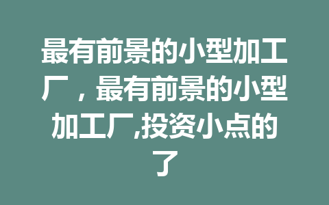 最有前景的小型加工厂，最有前景的小型加工厂,投资小点的了